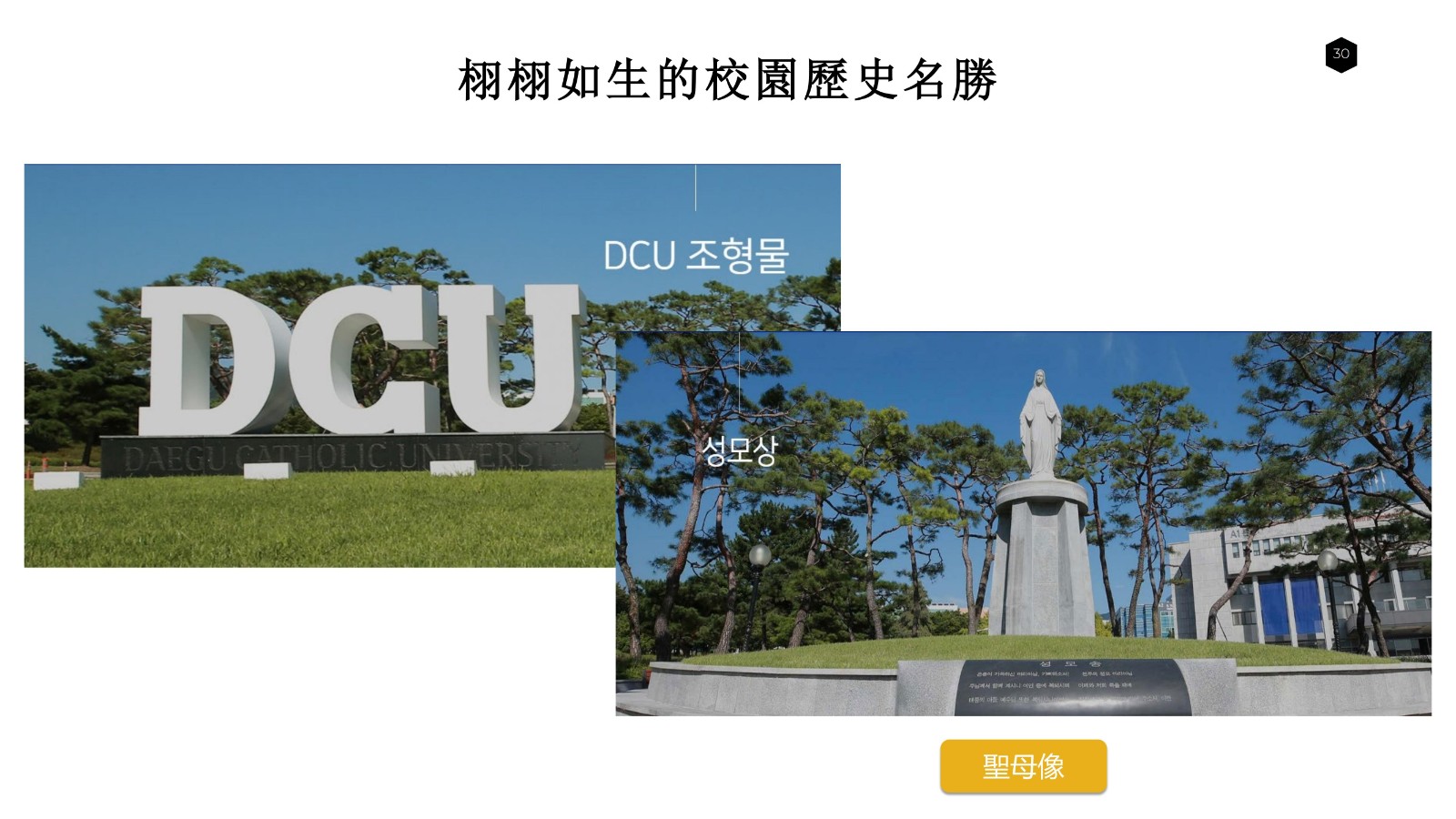 大邱加图立 公共管理 3年直博_28.jpg