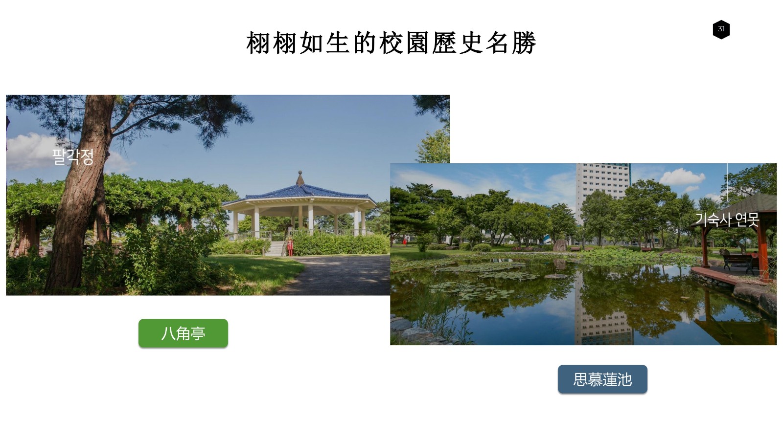 大邱加图立 公共管理 3年直博_29.jpg