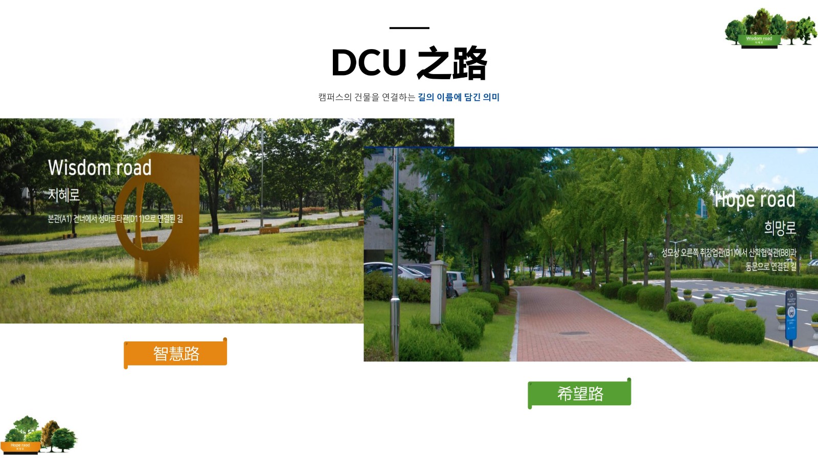 大邱加图立 公共管理 3年直博_32.jpg
