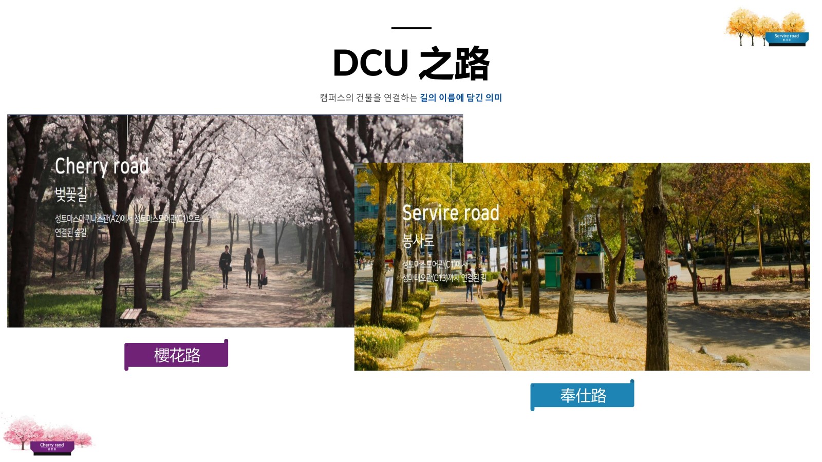 大邱加图立 公共管理 3年直博_33.jpg